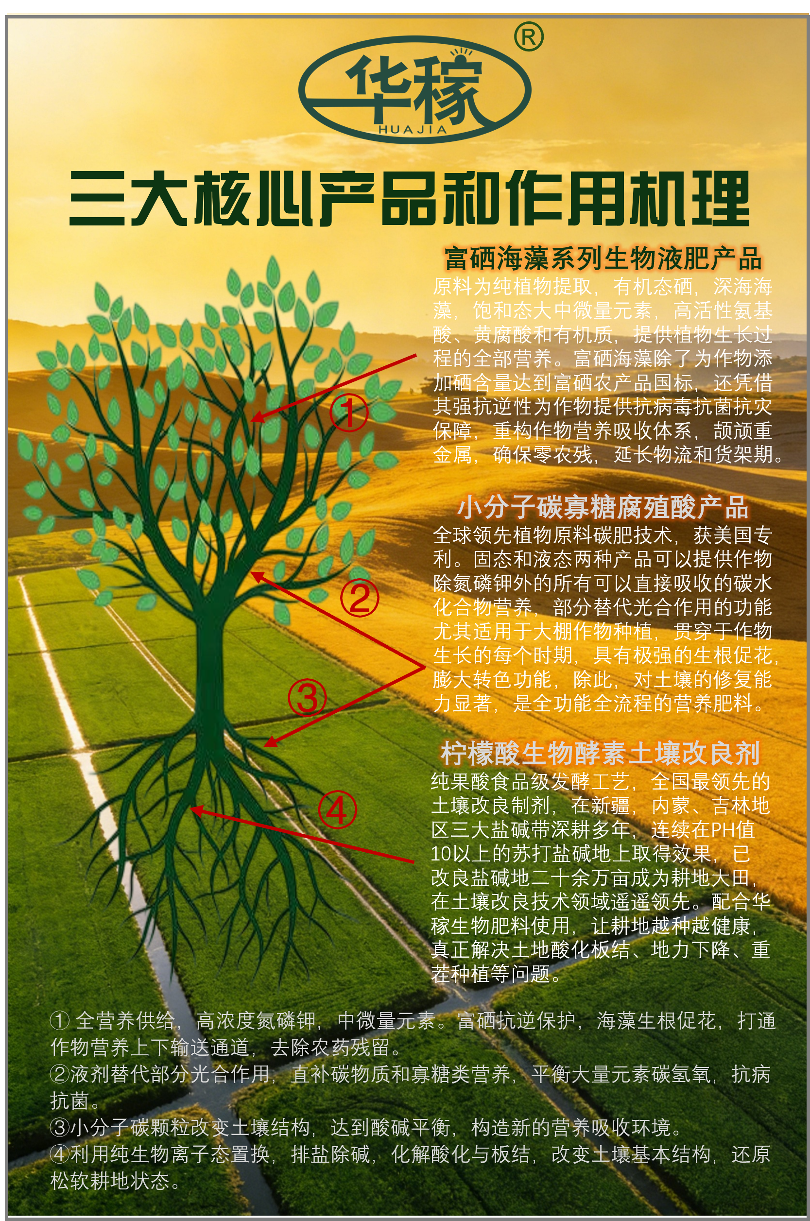 三大核心产品和作用机理